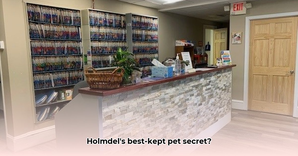 holmdel-vet-nj